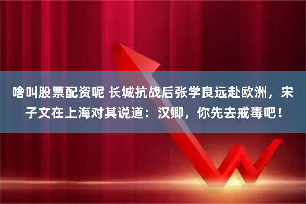 啥叫股票配资呢 长城抗战后张学良远赴欧洲，宋子文在上海对其说道：汉卿，你先去戒毒吧！